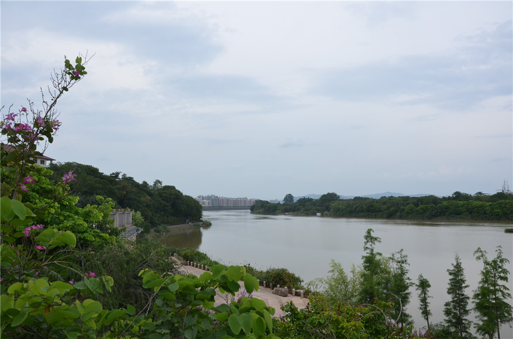 國(guó)務(wù)院：聚焦企業(yè)關(guān)切，進(jìn)一步推動(dòng)優(yōu)化營(yíng)商環(huán)境政策落實(shí)